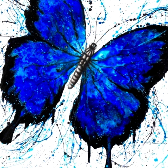 Meet your Posher, Elaina - Picture 1 of 1